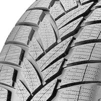 Dunlop Grandtrek WT M3 (275/55 R19 111H)