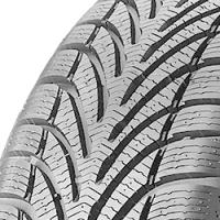 BF Goodrich g-Force Winter (205/50 R16 87H)