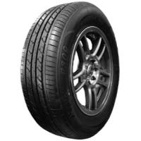 Rapid P309 (175/70 R14 88H)