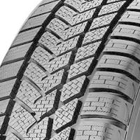 Sunny Wintermax NW211 (295/40 R21 111V)