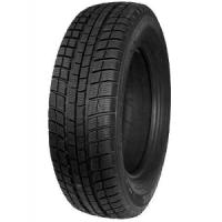 Profil Winter Maxx (225/55 R16 95H)