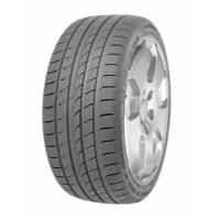 Minerva Ice-Plus S220 (255/50 R19 107V)