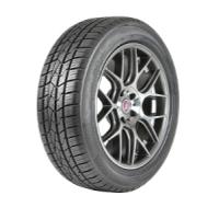 Delinte AW5 (195/55 R15 85H)