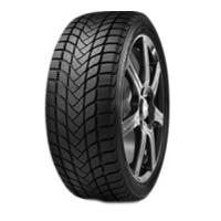 Delinte WD6 (155/70 R13 75T)