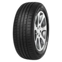 Minerva F209 (195/55 R16 87V)