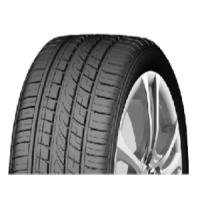 Fortune FSR-303 (225/55 R18 98W)