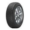 Tigar Winter (195/65 R15 91T)