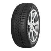 Minerva Frostrack UHP (205/50 R17 93V)