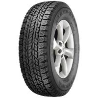 Black Star Arizona (235/55 R17 99S)