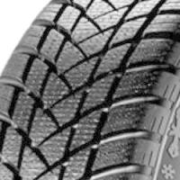 GT Radial Champiro Winterpro 2 (195/65 R15 91T)