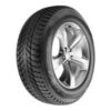 Roadstone Winguard Ice Plus (205/55 R16 91T)