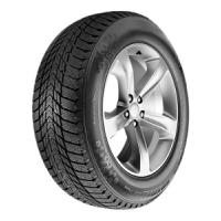 Roadstone Winguard Ice Plus (205/55 R16 91T)