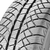 Sunny Wintermax NW611 (195/60 R15 88T)