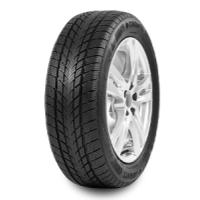 Davanti Wintoura (205/60 R16 92H)