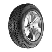 Nexen Winguard Ice Plus (195/55 R15 89T)