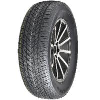 Royal Black Winter HP (235/65 R17 108T)