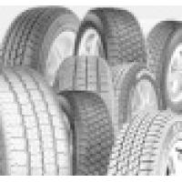 BF Goodrich Advantage All-Season (215/55 R17 98W)